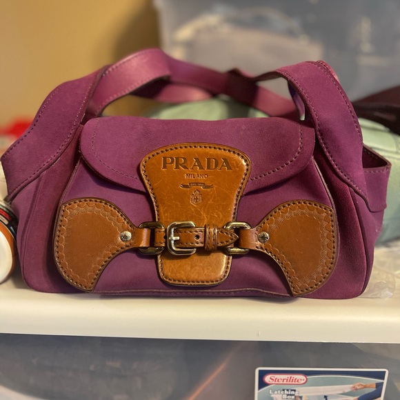 Meet your Posher, Poppy! - Picture 4 of 7